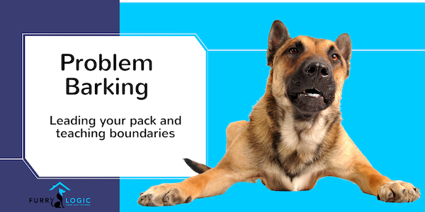 Problem Barking - how to lead the pack and teach boundaries to your dog