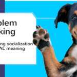 Problem Barking- the real meaning of socialization