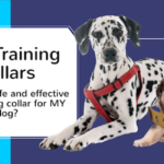 dog training collars