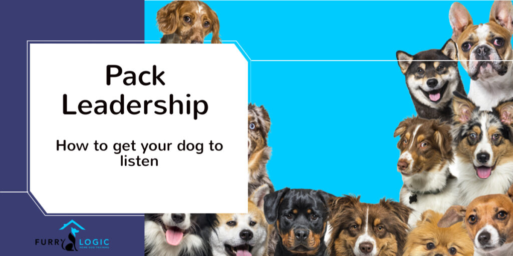 Furry Logic discusses Pack Leadership and getting your dog to listen
